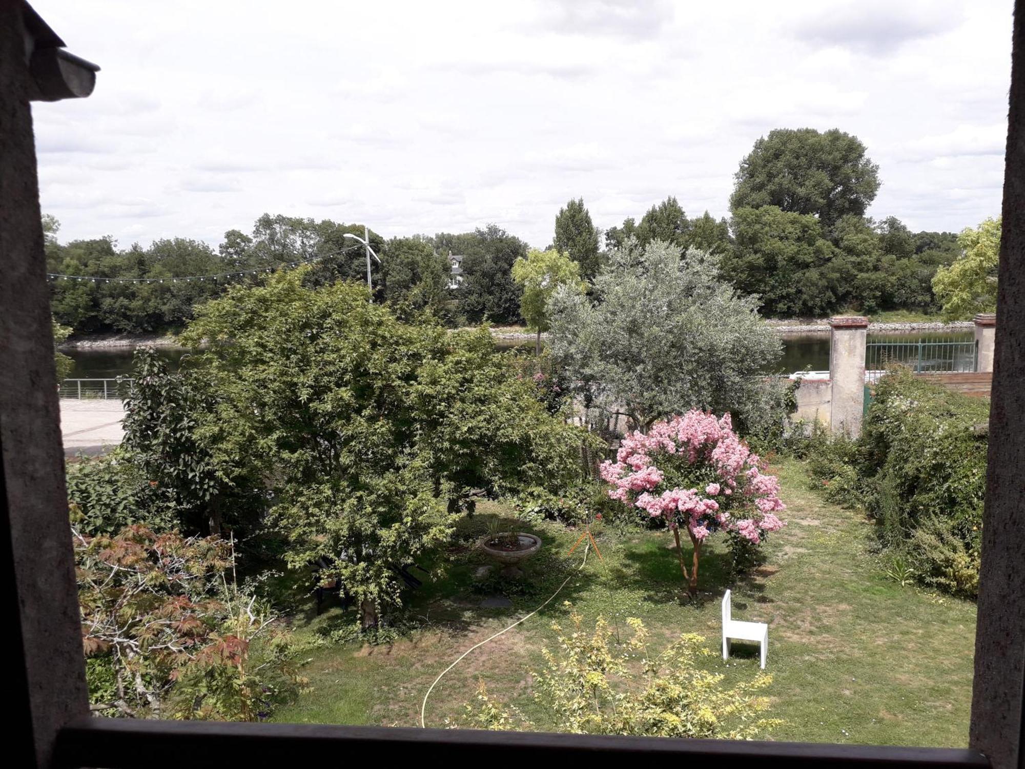 Les Balcons Sur La Loire Bed & Breakfast Chalonnes-sur-Loire Bagian luar foto